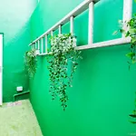 Exquisite 3Bdr Botanical Oasis In Central Brighton